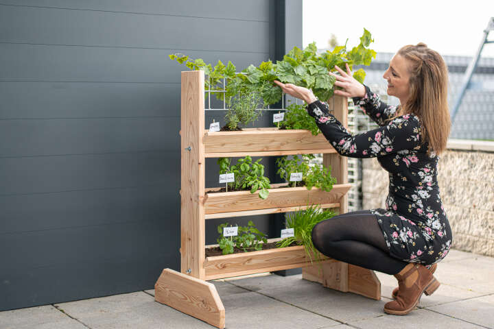 WESTMANN Kräuterregal Viktoria L